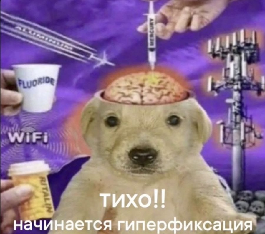 тихо! начинается гиперфиксация