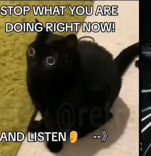 DOING RIGHTNOW!