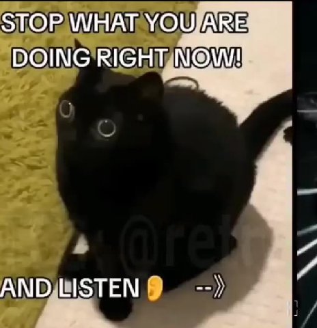 DOING RIGHTNOW!