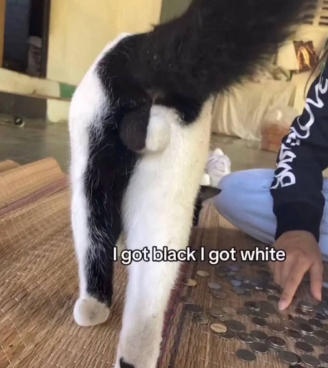 у got white