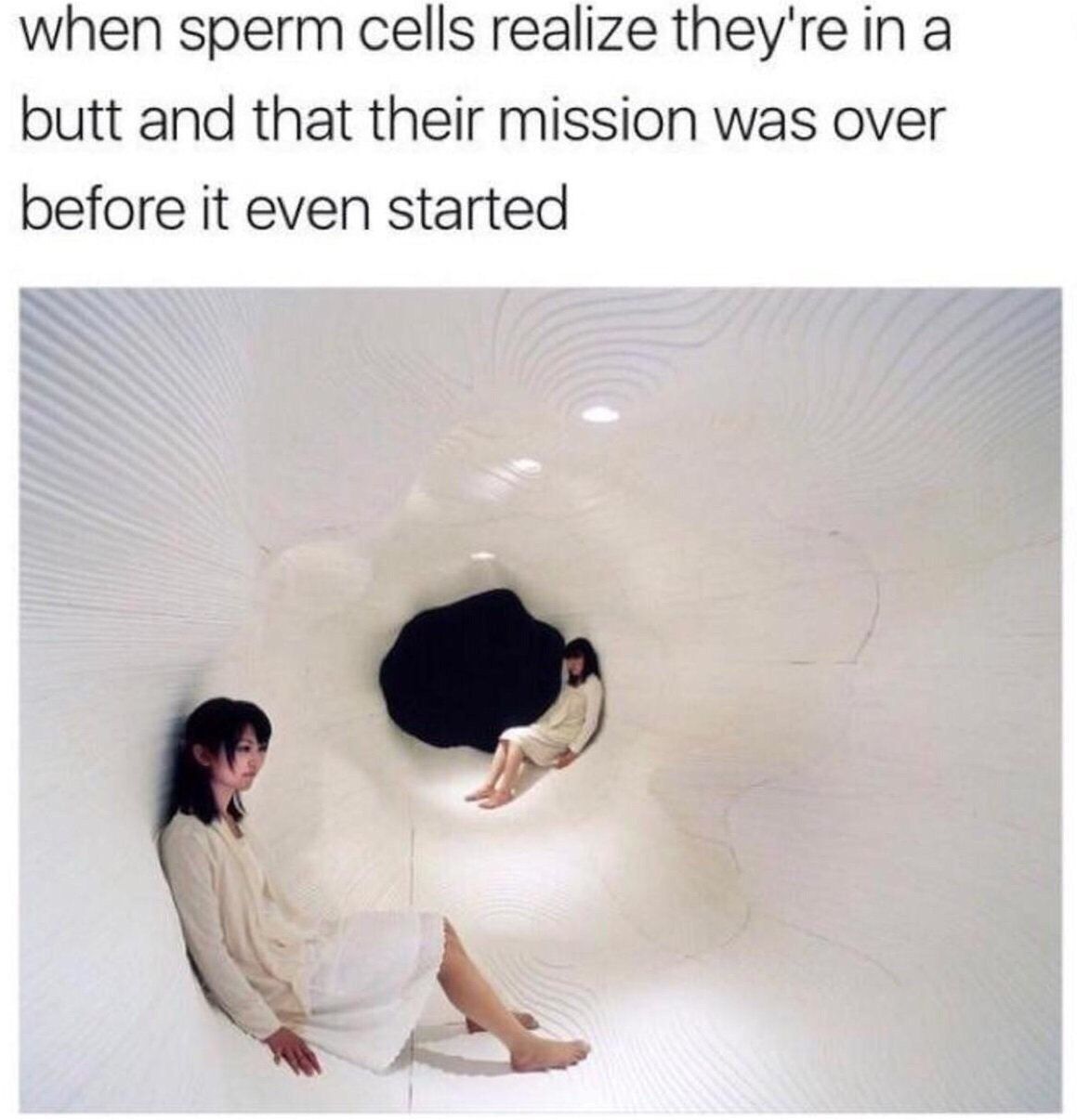when sperm cells realize they're in a butt and that their mission was over before it even started