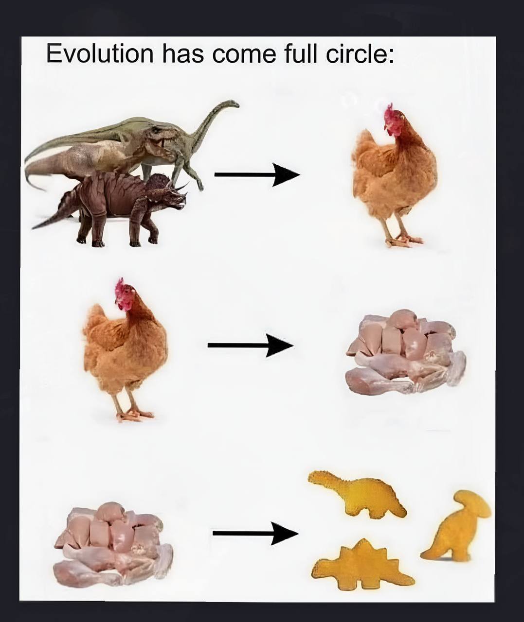 Evolution has come full circle: