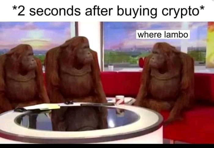 *2 seconds after buying сгурю* where lambo