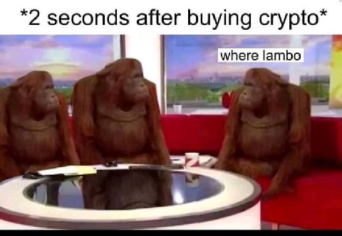 *2 seconds after buying сгурю* where lambo