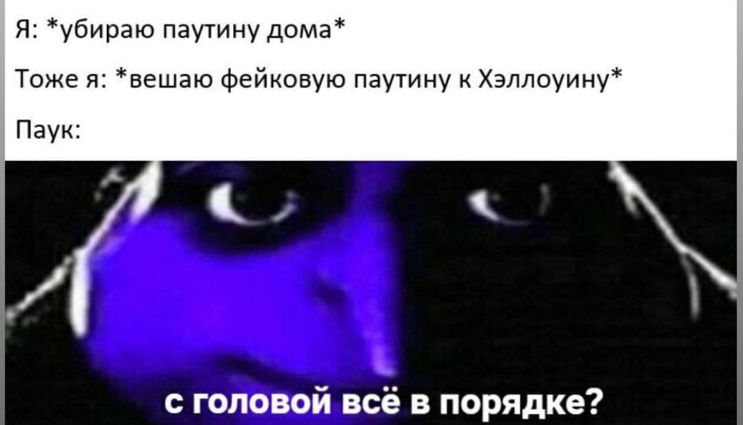 Я: *убираю паутину дома* Тоже я: *вешаю фейковую паутину к Хэллоуину* Паук: с головой всё в порядке?