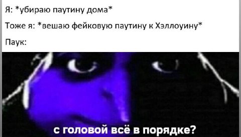 Я: *убираю паутину дома* Тоже я: *вешаю фейковую паутину к Хэллоуину* Паук: с головой всё в порядке?