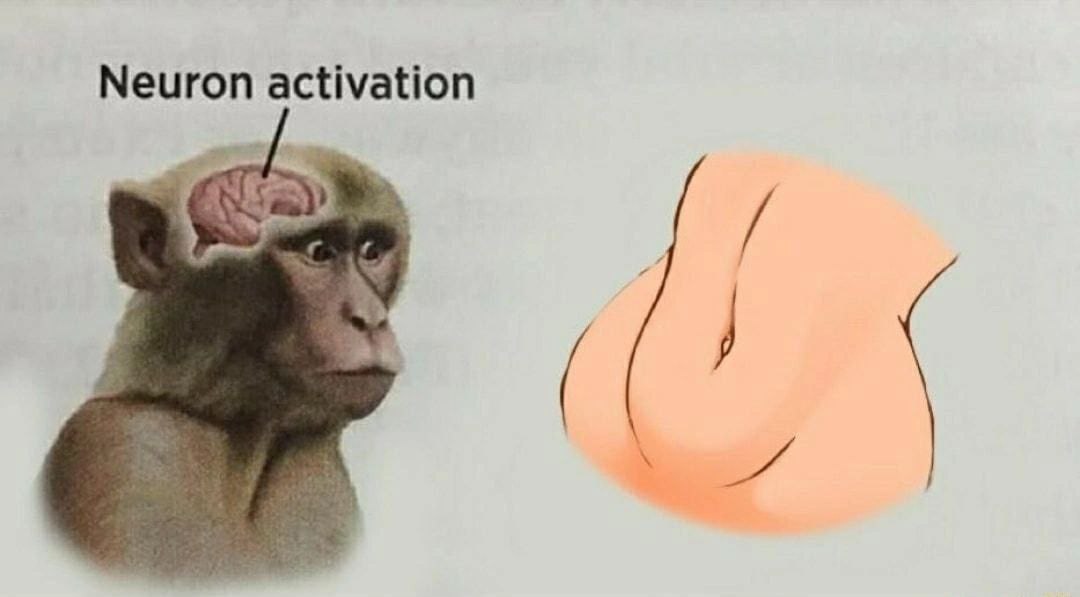 Neuron activation