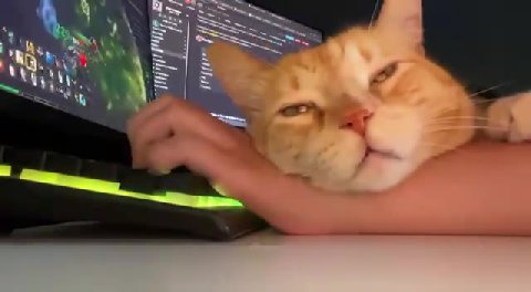 мем