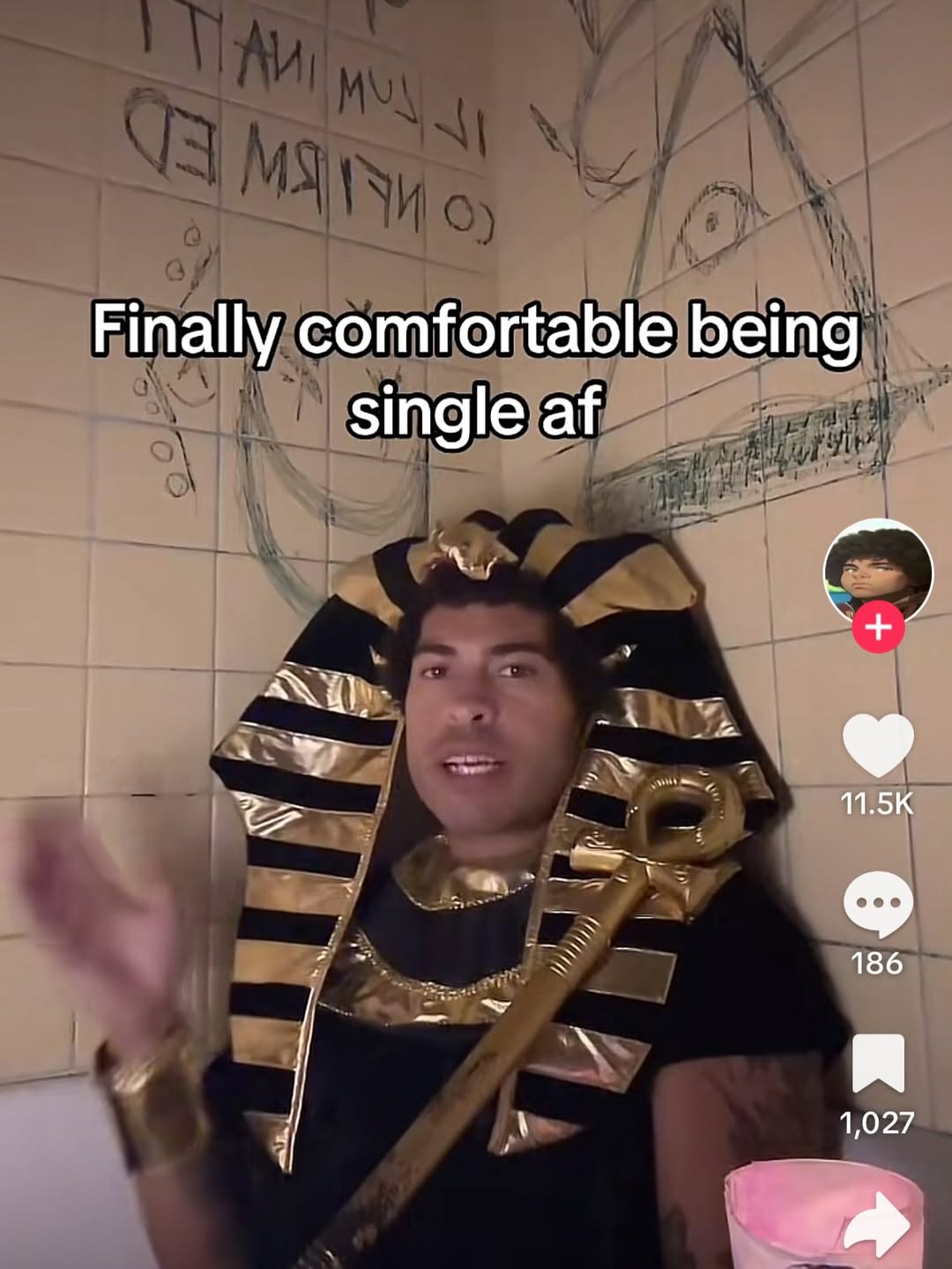 Finally comfortable being single 11.5К 186 1,027
