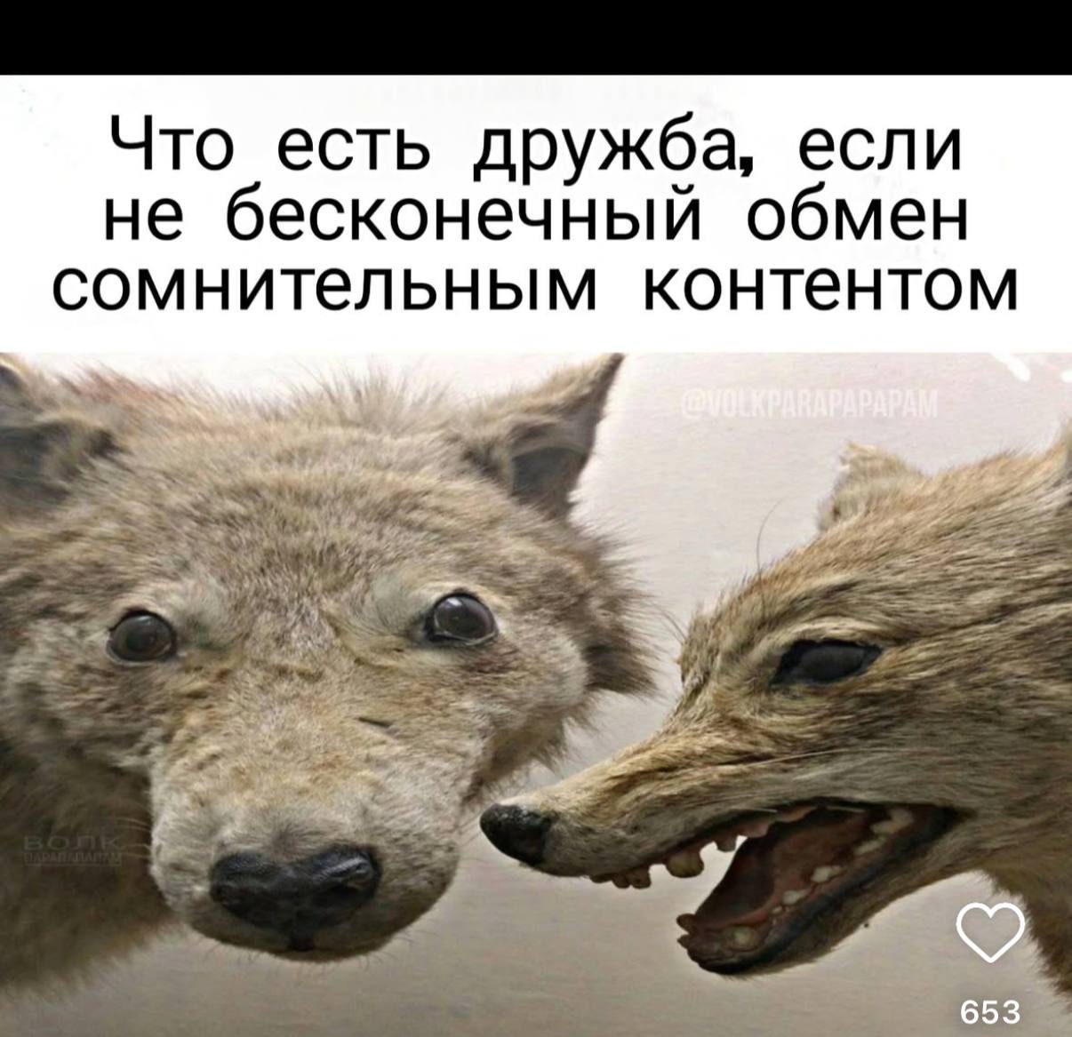 Что есть дружба, если не бесконечный обмен сомнительным контентом