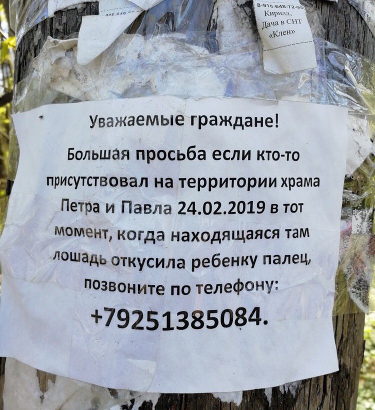 ача «Клен» We Уважаемые граждане! Большая просьба если кто-то присутствовал на территории храма Петра и Павла 24.02.2019 в тот момент, когда находящаяся там лошадь откусила ребенку палец, позвоните по