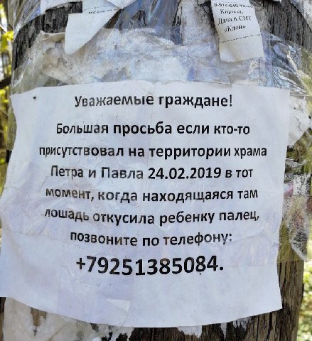 ача «Клен» We Уважаемые граждане! Большая просьба если кто-то присутствовал на территории храма Петра и Павла 24.02.2019 в тот момент, когда находящаяся там лошадь откусила ребенку палец, позвоните по