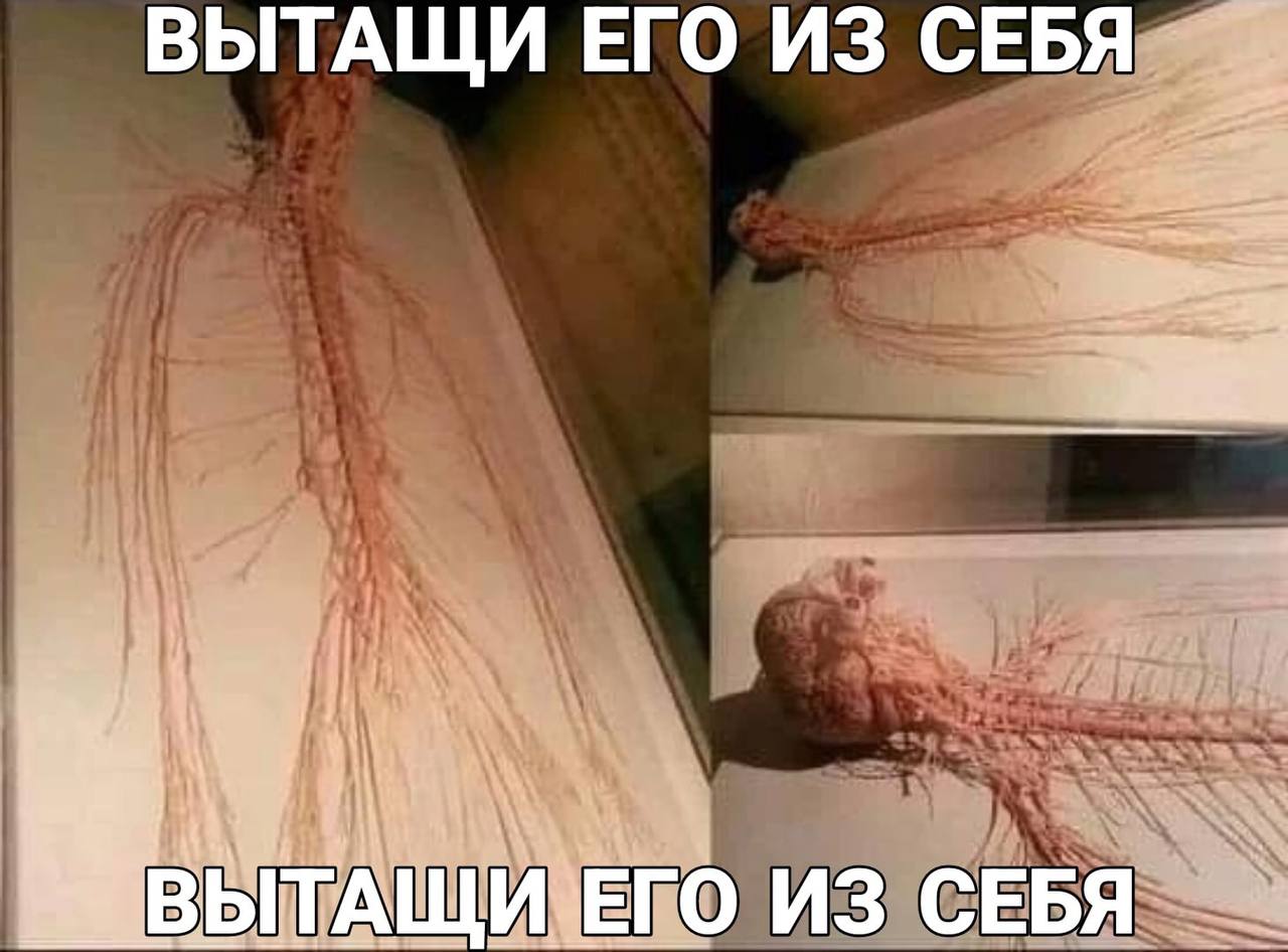 ВЫТАЩИ ЕГО ИЗ СЕБЯ ИЗ СЕБЯ
