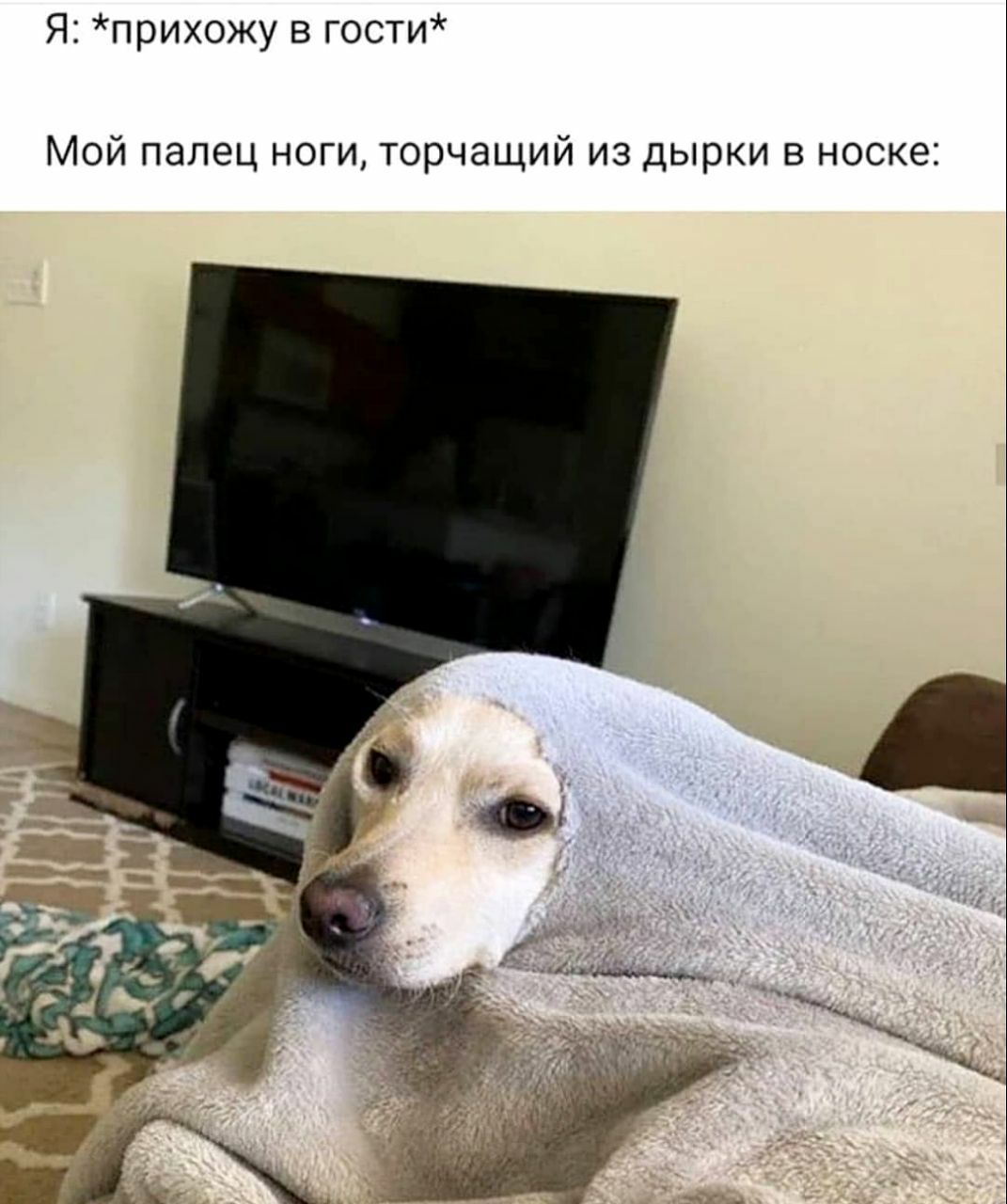 Я: *прихожу в гости* Мой палец ноги, торчащий из дырки в носке: