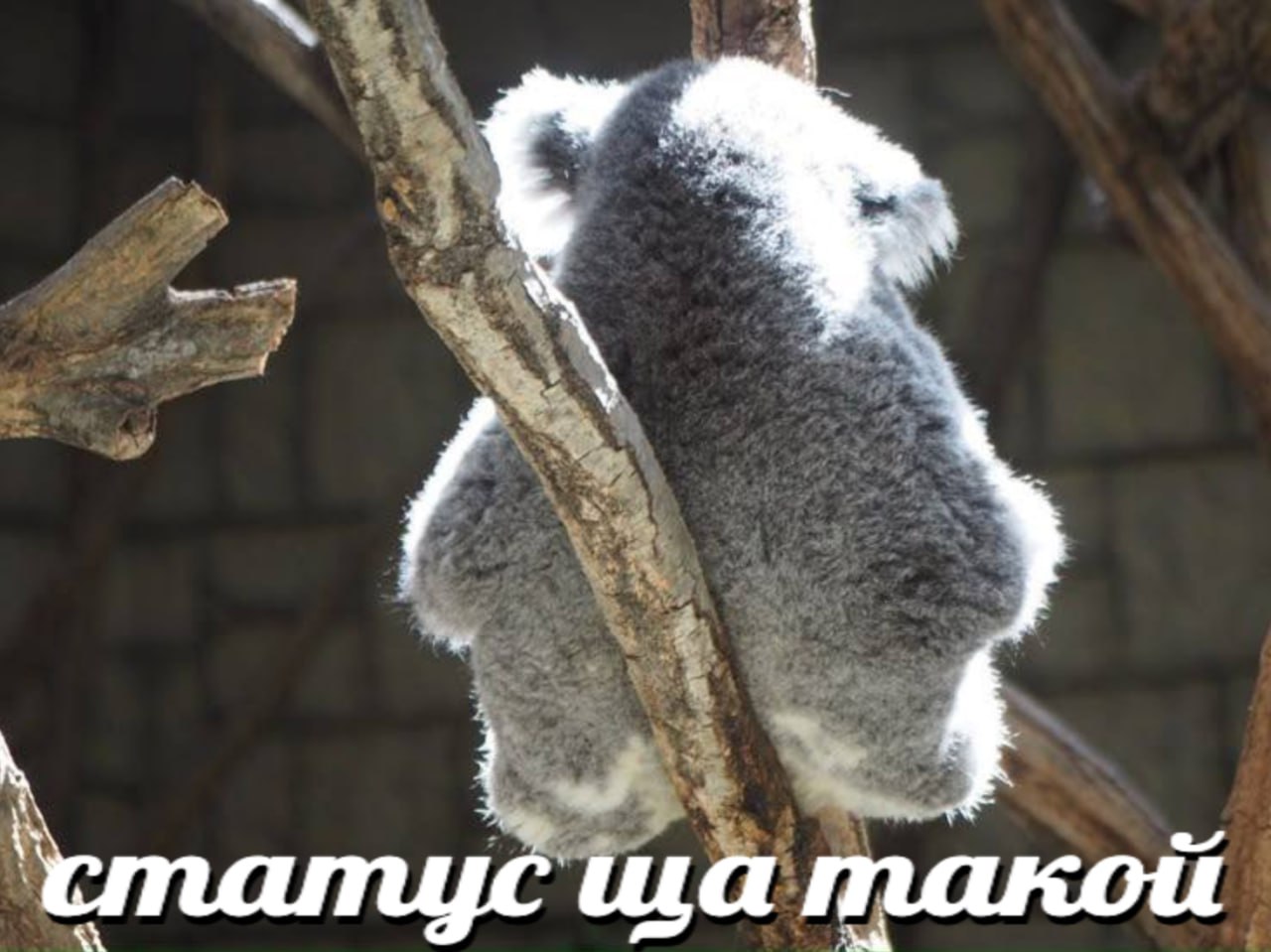 такой