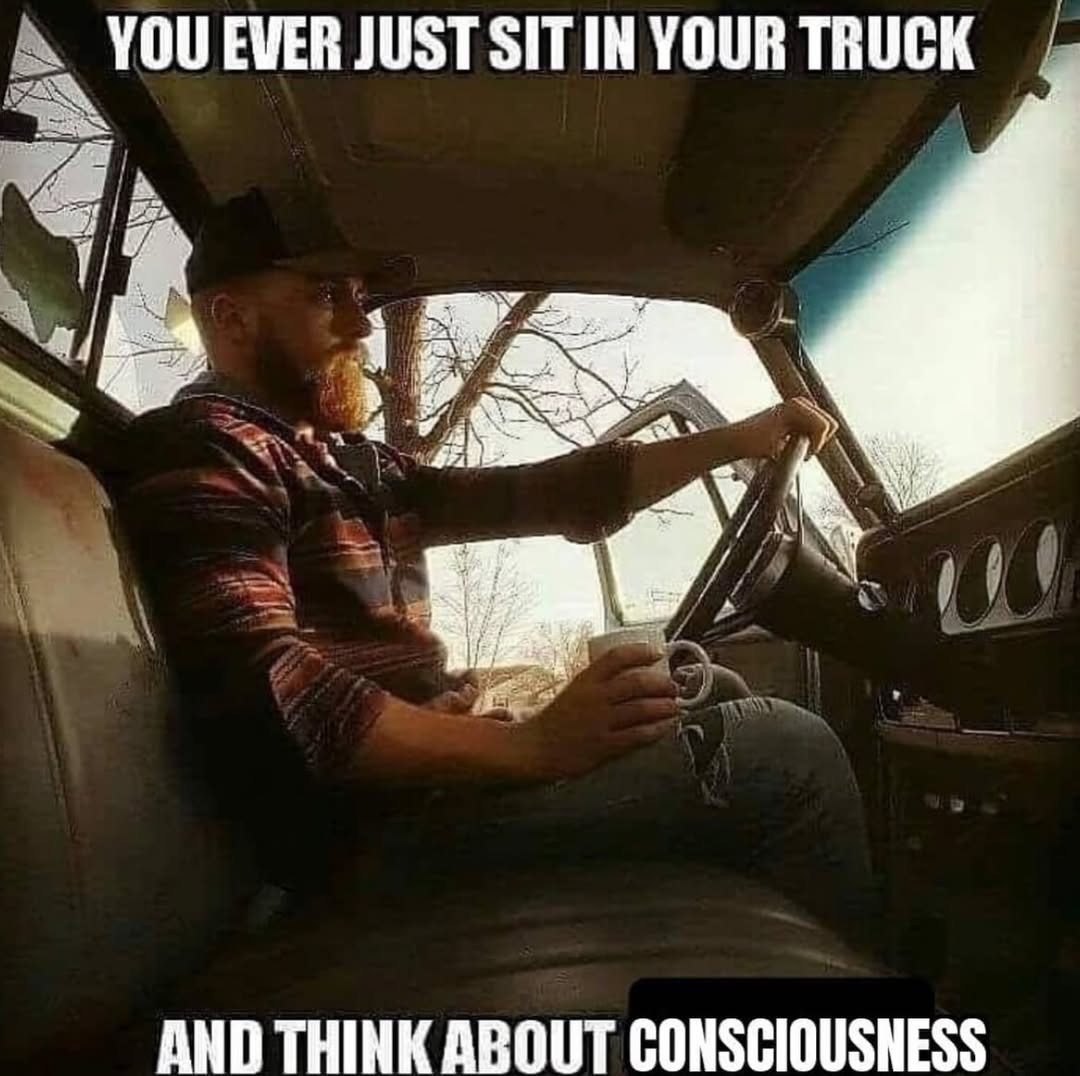 YOU EVER JUST YOUR TRUCK AND THINK ABOUT CONSCIOUSNESS