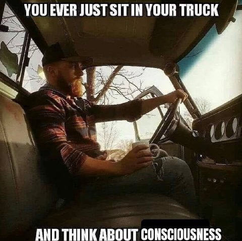 YOU EVER JUST YOUR TRUCK AND THINK ABOUT CONSCIOUSNESS