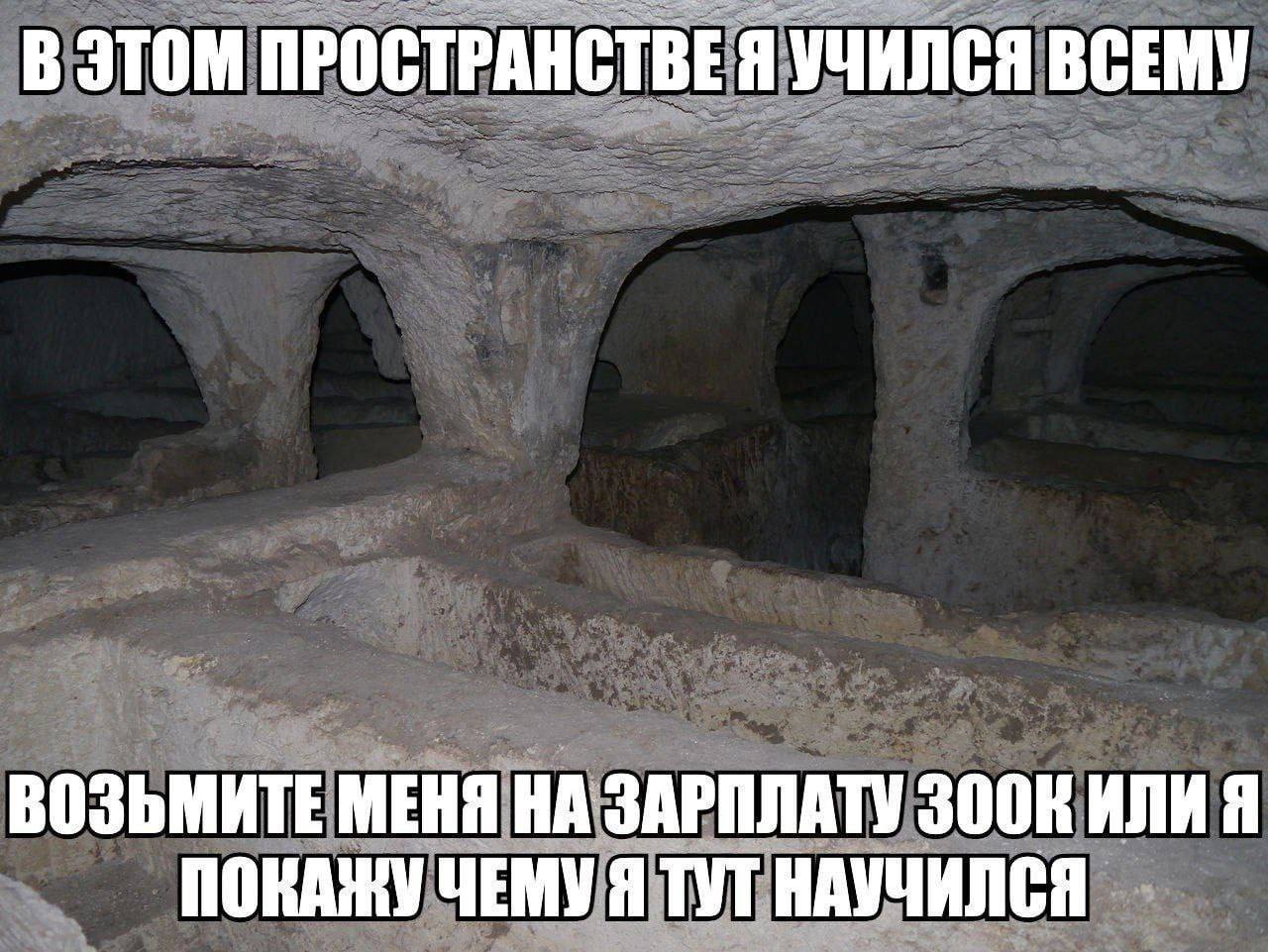 В ЭТОМ ПРОСТРАНСТВЕ Я УЧИЛСЯ ВСЕМУ ВОЗЬМИТЕ МЕНЯ НА ЗАРПЛАТУ ИЛИ Я ПОКАЖУ ЧЕМУ Я ТУТ НАУЧИЛСЯ