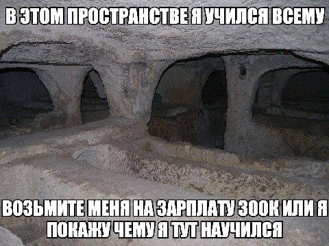 В ЭТОМ ПРОСТРАНСТВЕ Я УЧИЛСЯ ВСЕМУ ВОЗЬМИТЕ МЕНЯ НА ЗАРПЛАТУ ИЛИ Я ПОКАЖУ ЧЕМУ Я ТУТ НАУЧИЛСЯ