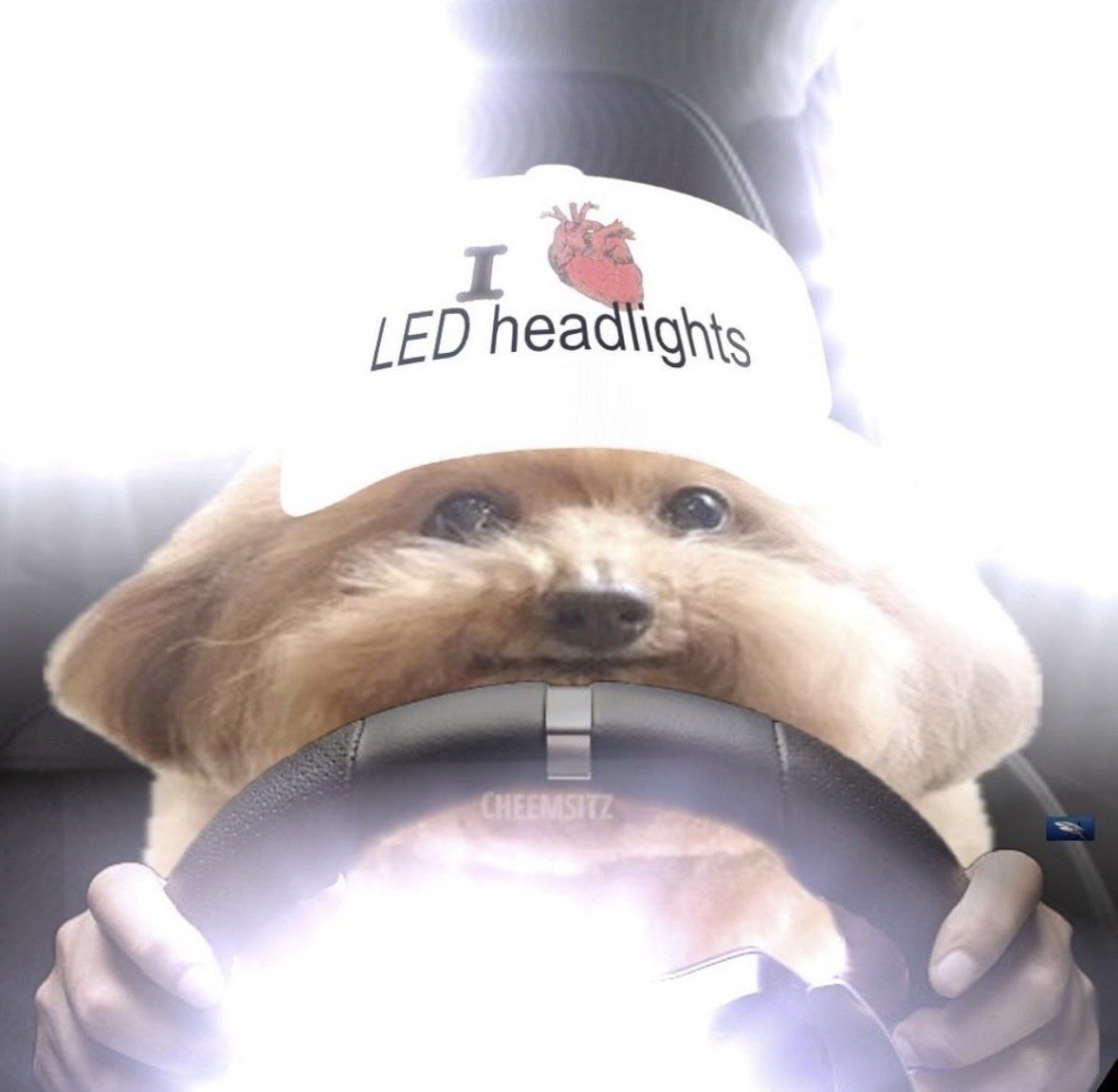 LED