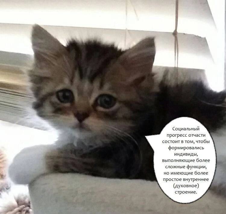 Социальный прогресс отчасти состоит в том, чтобы формировались индивиды выполняющие более сложные функции но имеющие более простое внутреннее (духовное) строение