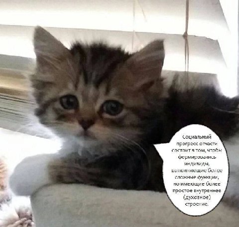 Социальный прогресс отчасти состоит в том, чтобы формировались индивиды выполняющие более сложные функции но имеющие более простое внутреннее (духовное) строение