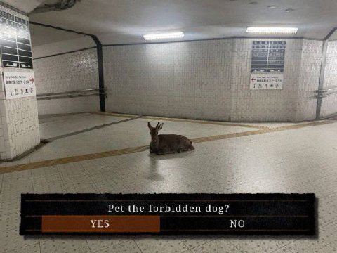 Pet the forbidden dog? NO YES