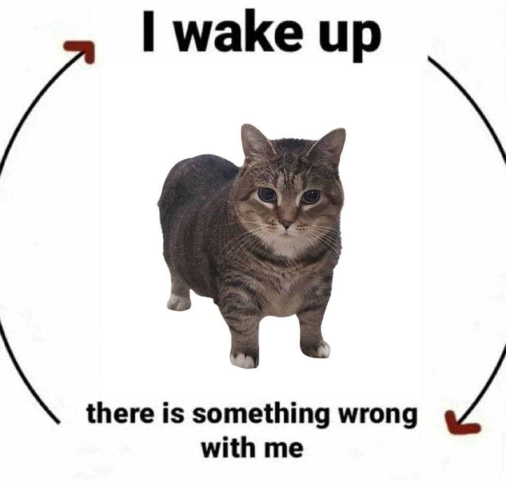 wake up ith