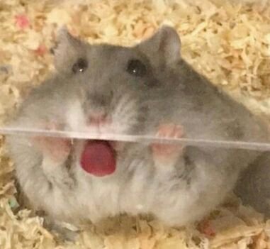 A 3