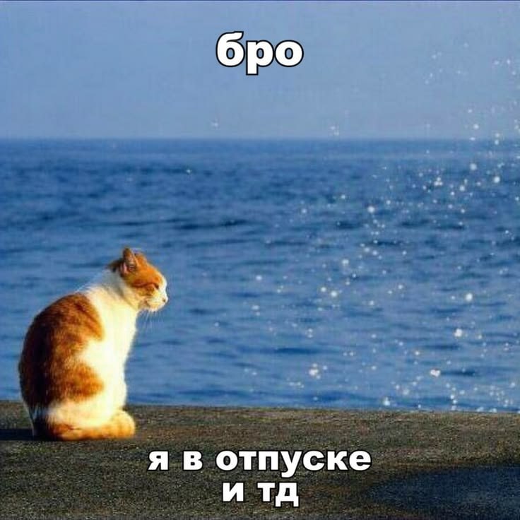 вайб, когда у меня вообще-то каникулы, но родители просят убираться дома