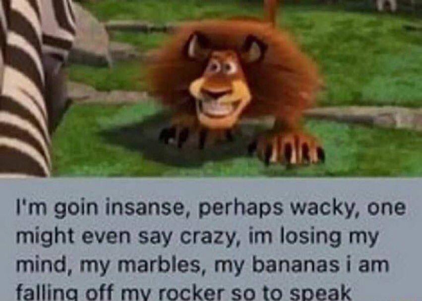 goin insanse, perhaps wacky, one might even say crazy, losing my mind, my marbles, my fallina off rocker so to