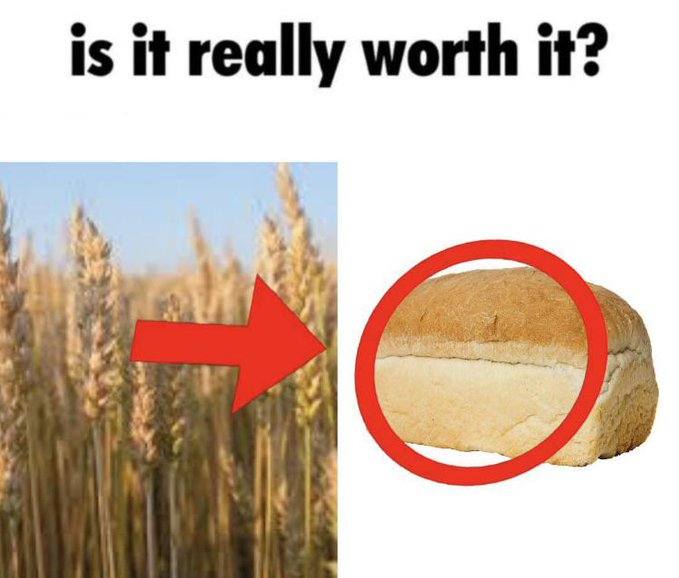 is it reall rth it? eally worth it: у 4 В у 4