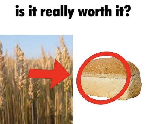 is it reall rth it? eally worth it: у 4 В у 4
