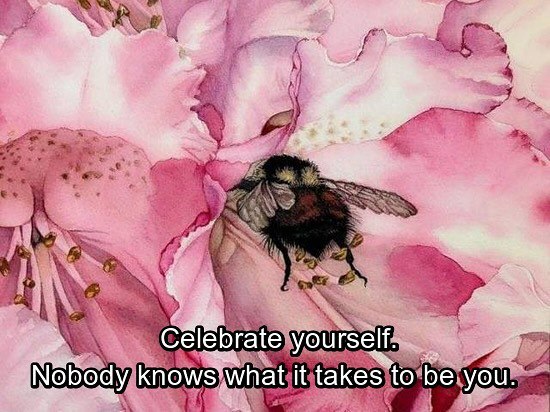 Celebrate yourself.. it takes to be you.