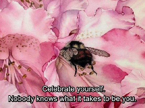 Celebrate yourself.. it takes to be you.