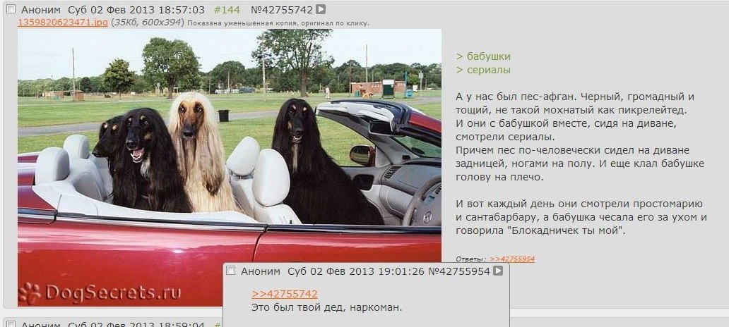 Аноним Суб 02 Фев 2013 18:57:03 #144 №42755742 [8 показана уменьшенная копия, оригинал по клику. бабушки сериалы А у нас был пес-афган. Черный, громадный и и тощий, не такой мохнатый как пикрелейтед. 