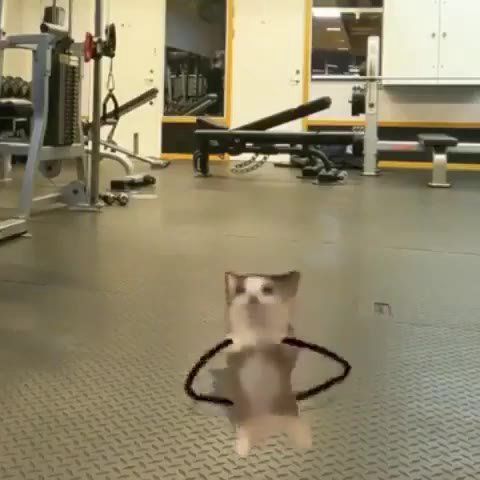 мем