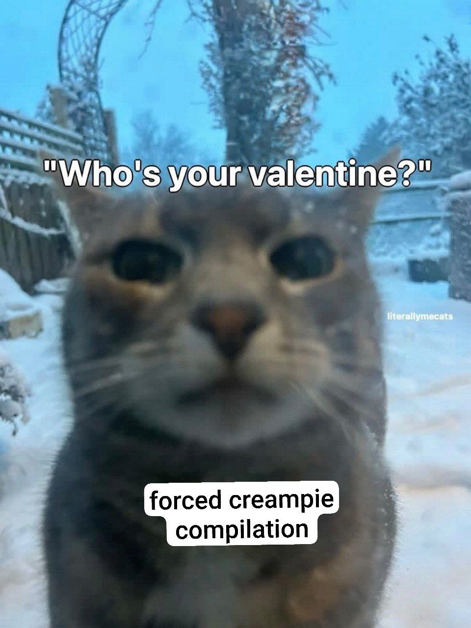 "Who's your valentine?" forced creampie compilation