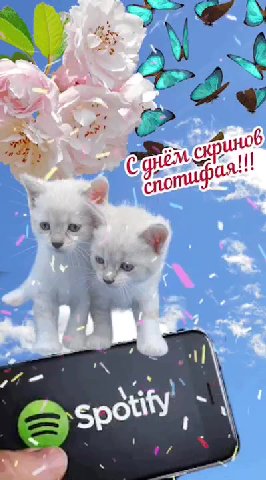 мем
