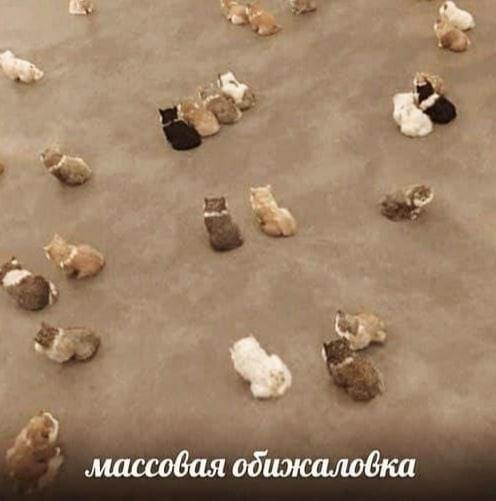 массовая обижаловка
