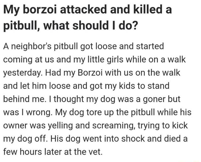 My borzoi attacked and killed а pitbull, what should A neighbor's pitbull got loose and started coming at and my little girls while on a walk yesterday. Had my Borzoi with on the walk and let him loos