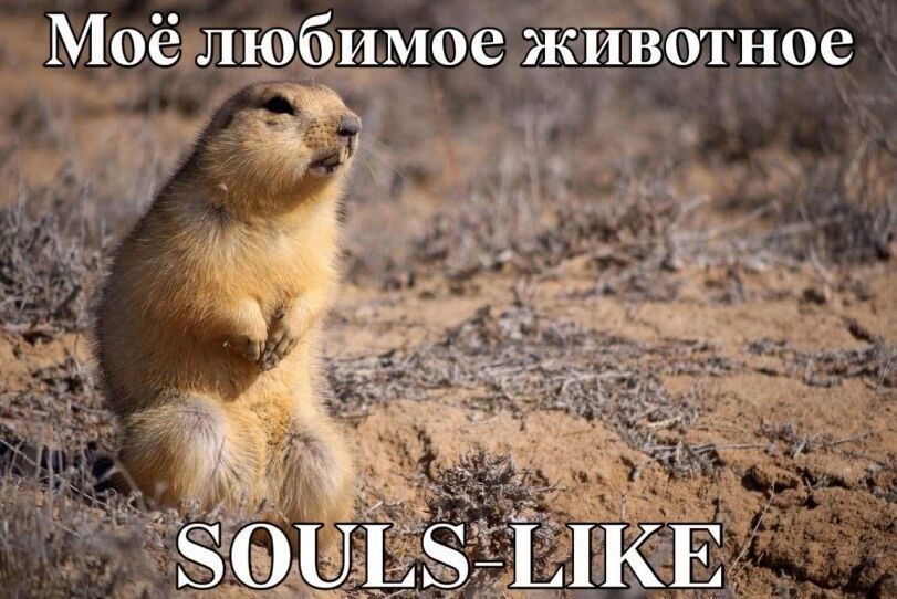 Мое любимое животное LIKE