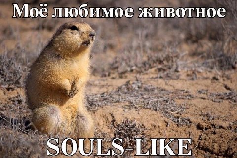Мое любимое животное LIKE
