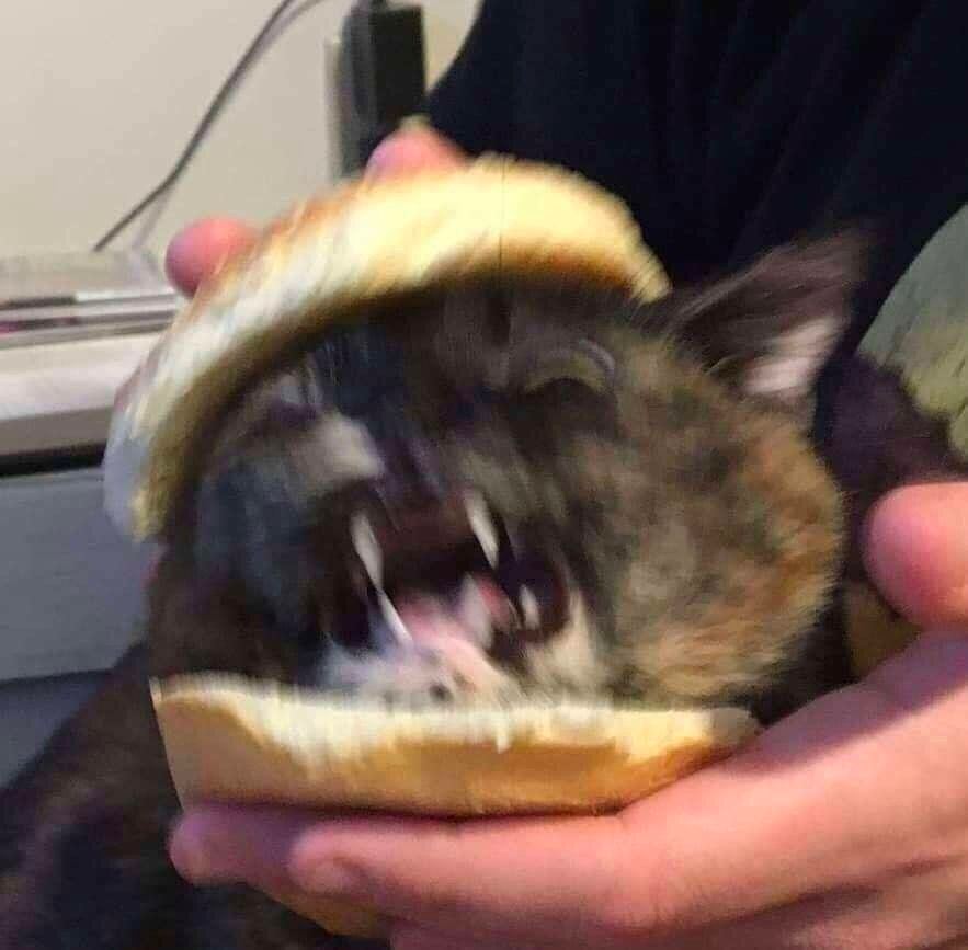 у