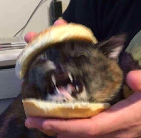 у