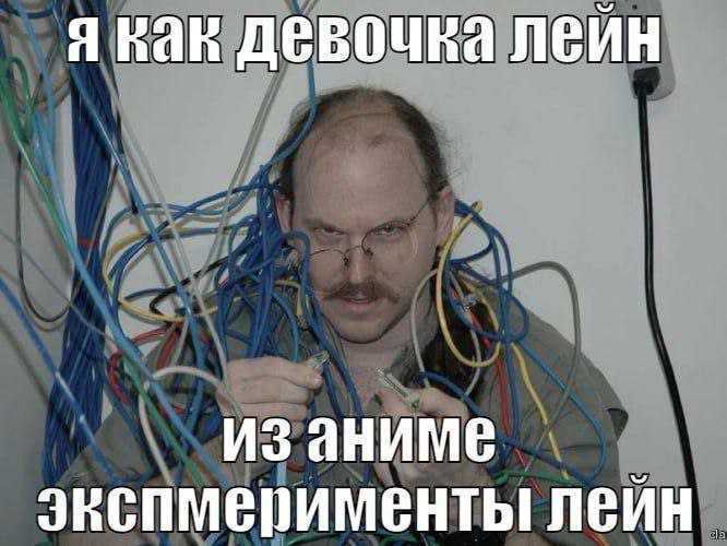 ну я. вопросы?