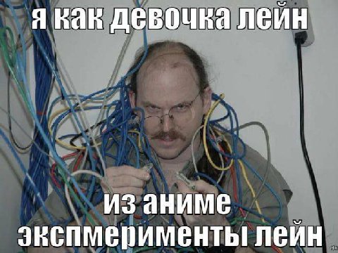 ну я. вопросы?