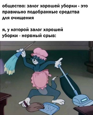 общество: залог хорошей уборки это правильно подобранные средства для очищения я, у которой залог хорошей уборки нервный срыв: a at