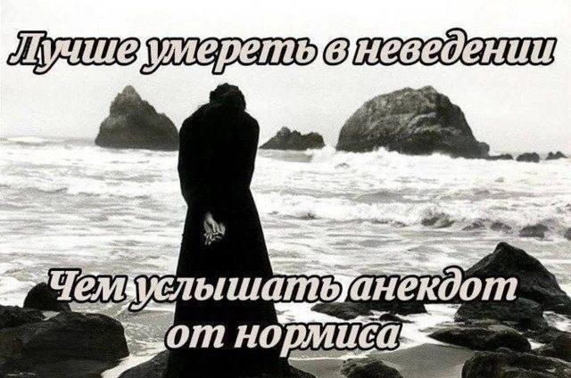 4 Чем от нортиса