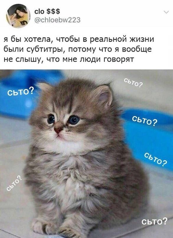 @chloebw223 я бы хотела, чтобы в реальной жизни были субтитры, потому что я вообще не слышу, что мне люди говорят сьто? “8705 сьто?